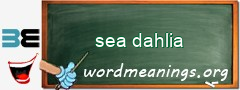 WordMeaning blackboard for sea dahlia